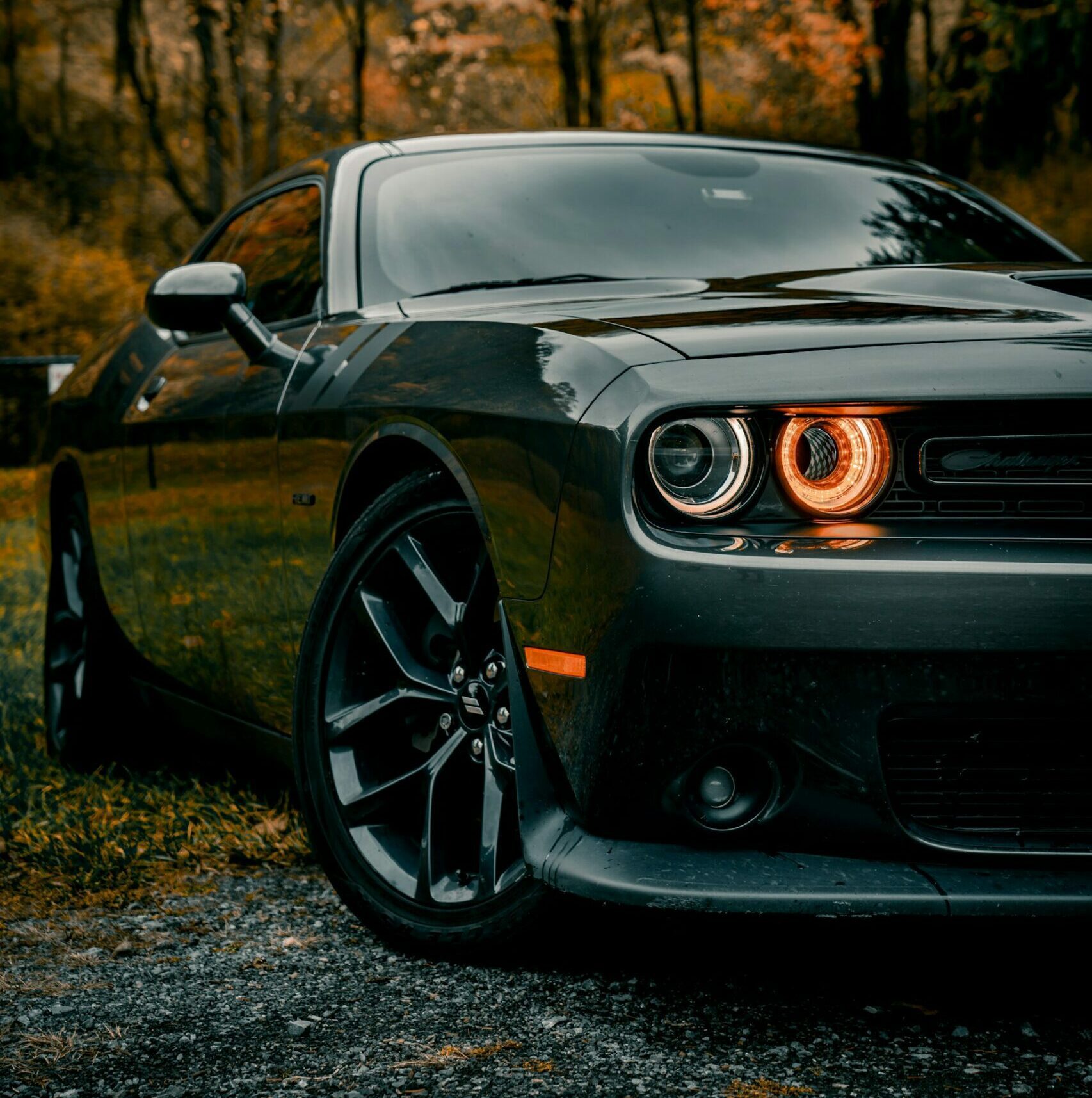 Dodge Car